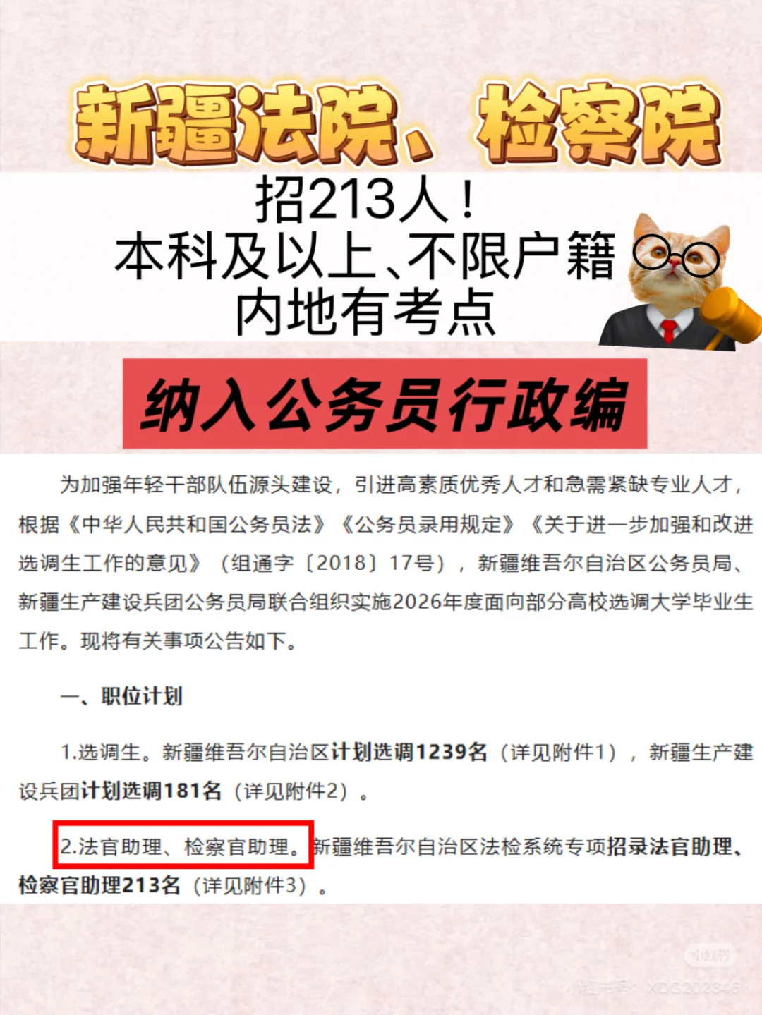 新疆法院、检察院招213人！纳入公务员编制