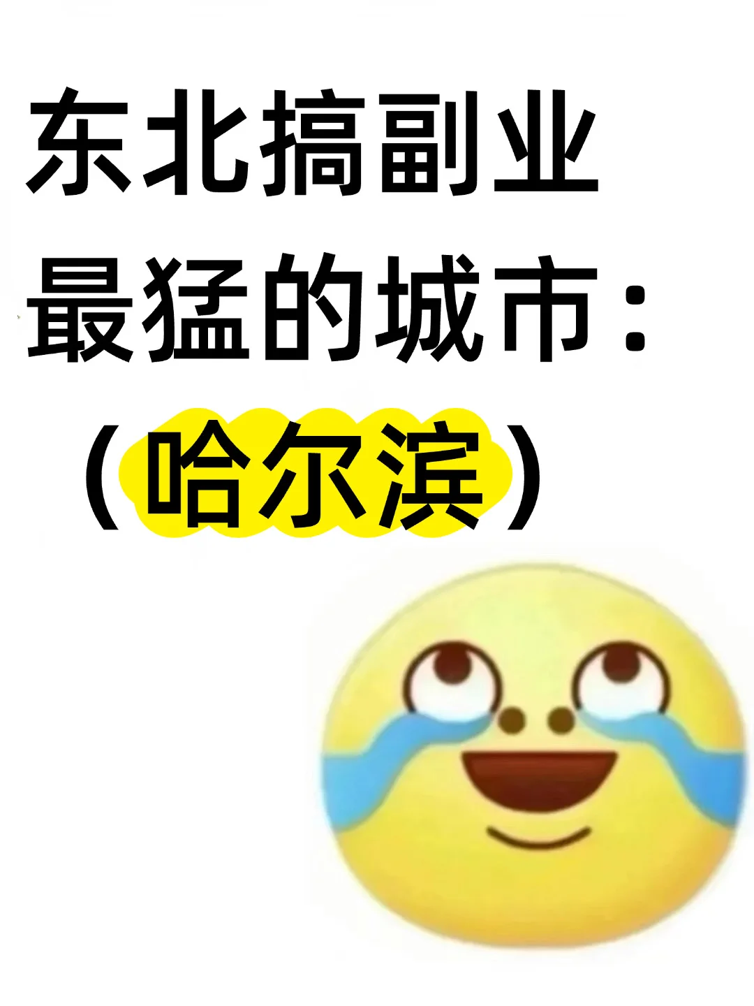 东北搞副业最猛得城市：哈尔滨
