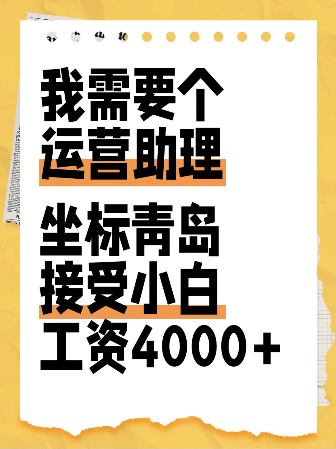 急招，急招，运营助理