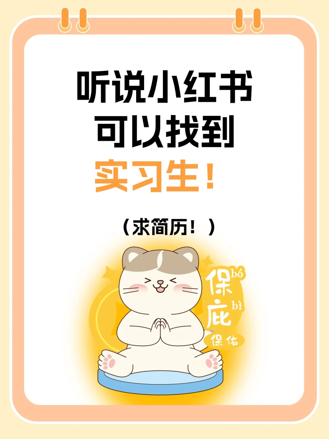 泉州！周末双休！快赐本喵一个实习生！