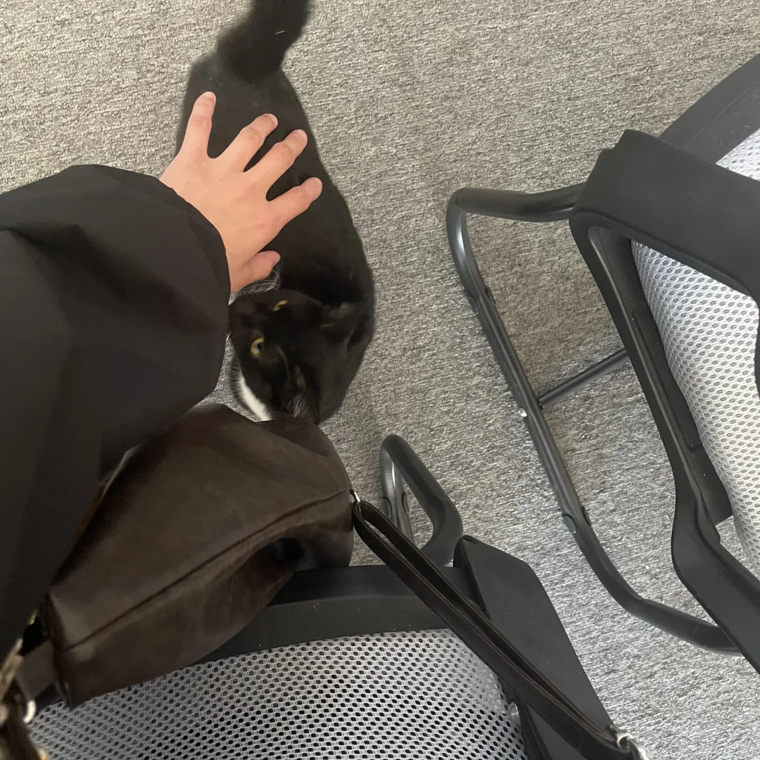 辽宁.朝阳月工资在 2500～6000 左右