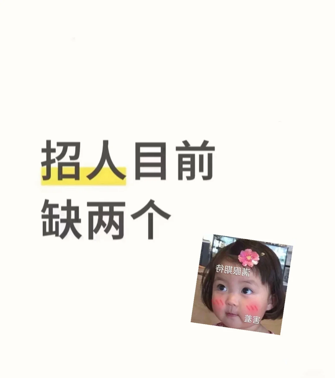 孝感、前台招人、前台、孝感