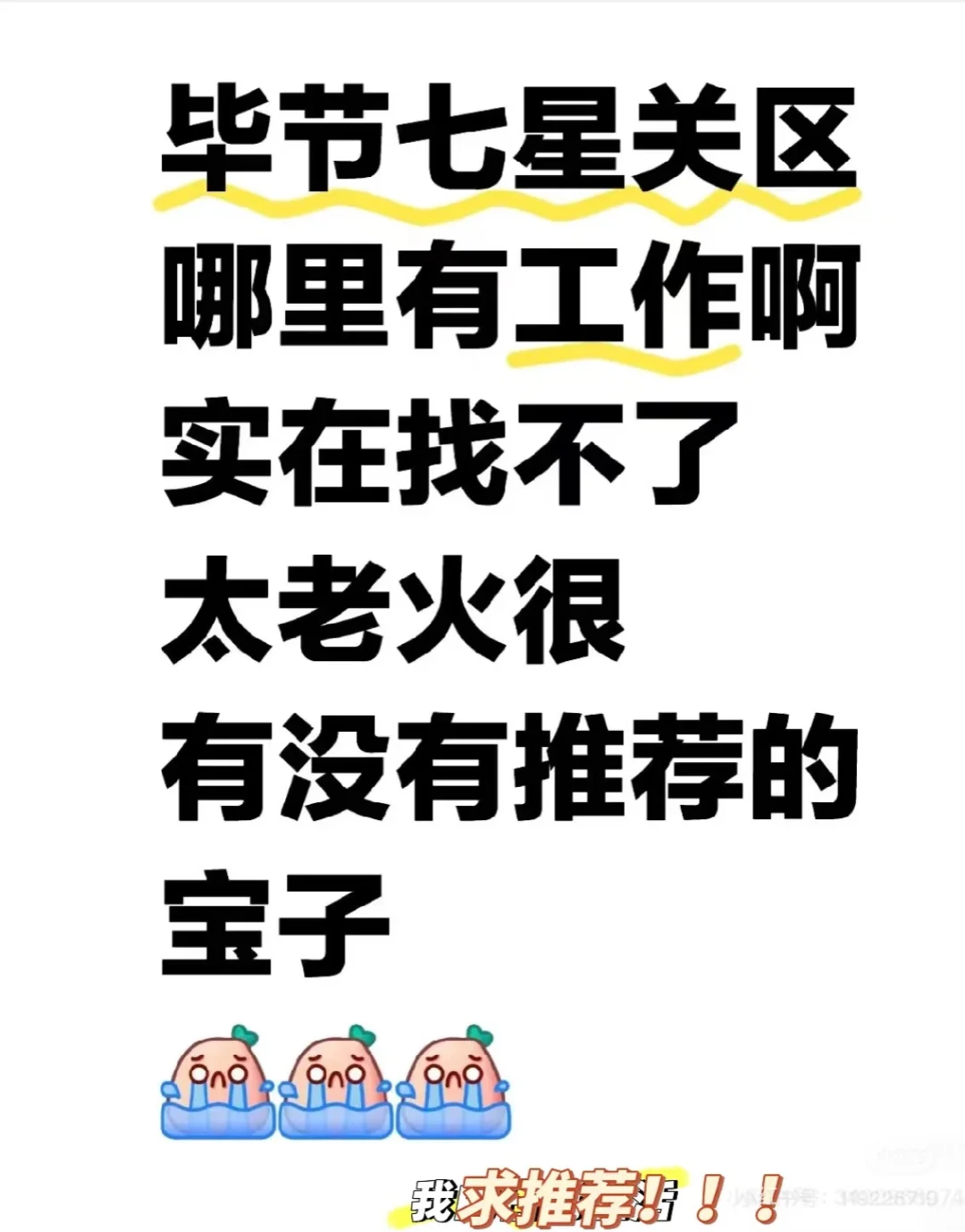 我现在强的可怕，请给我一份工作吧！拜托拜托