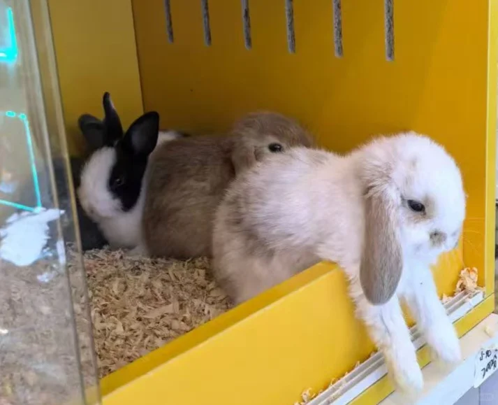 岗位汇总！没有工作的看过来！