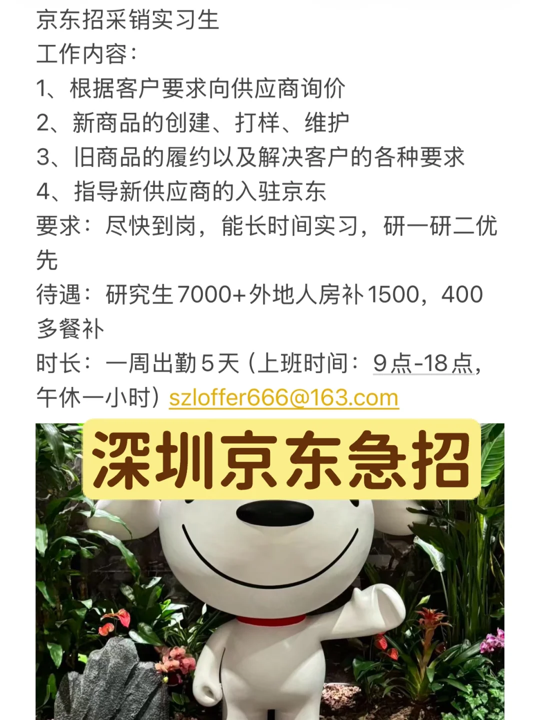 急招！京东采销实习生，把简历砸给我！