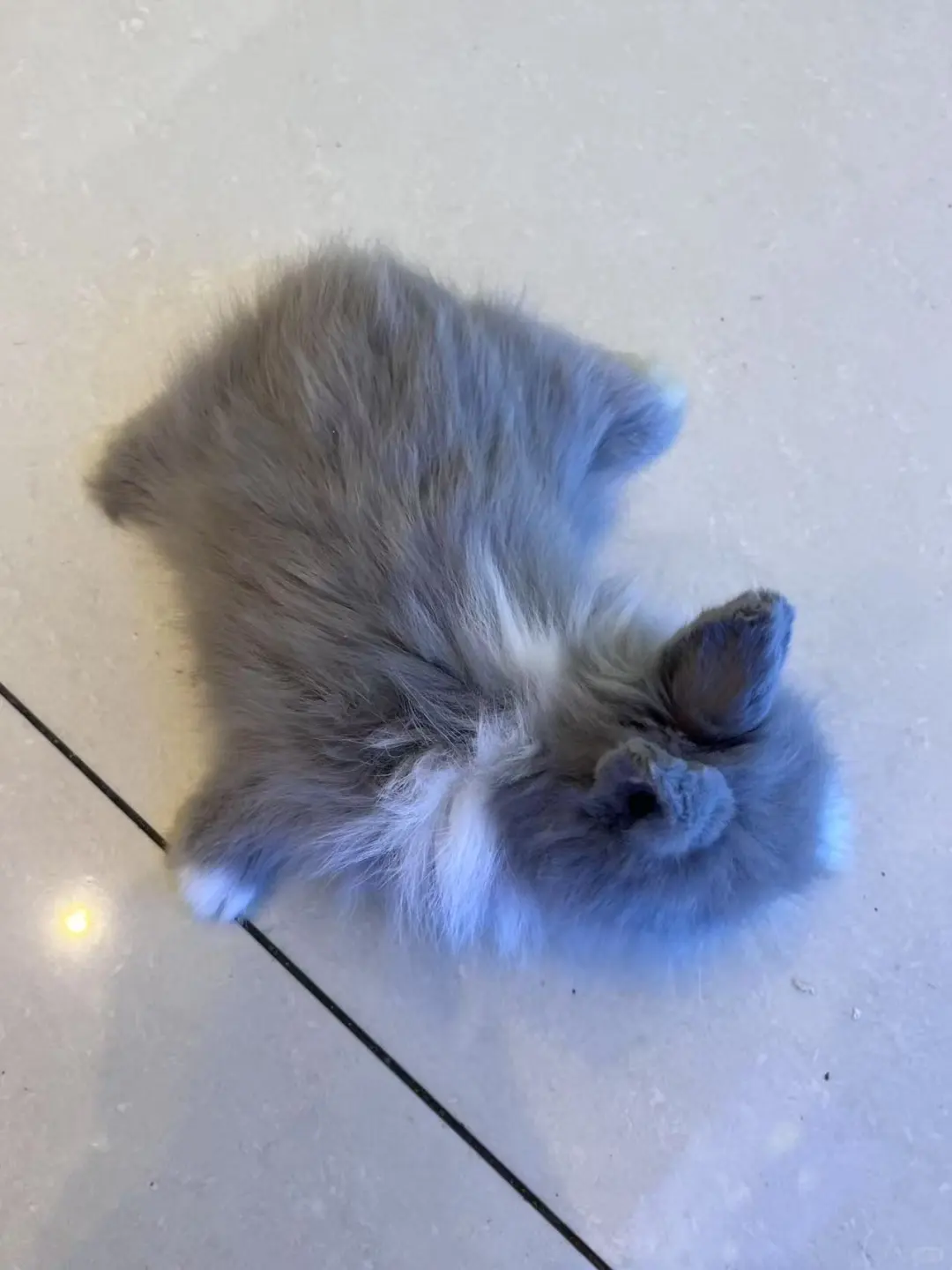 岗位汇总！有工作的看过来