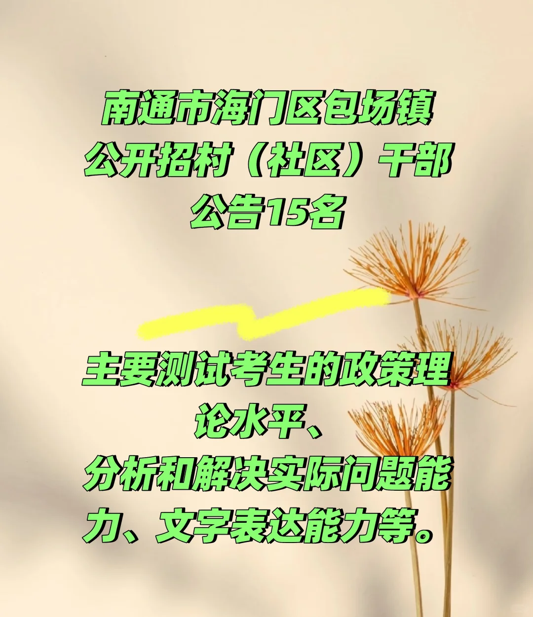 南通市海门区包场镇公开招村干部