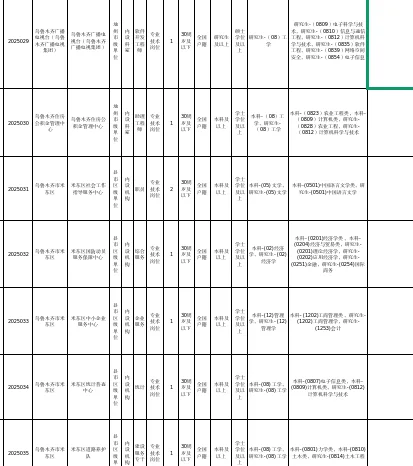 2025年下半年乌鲁木齐人才引进岗位表