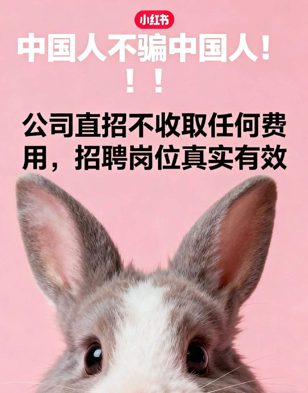 常州钟楼区多岗位招聘