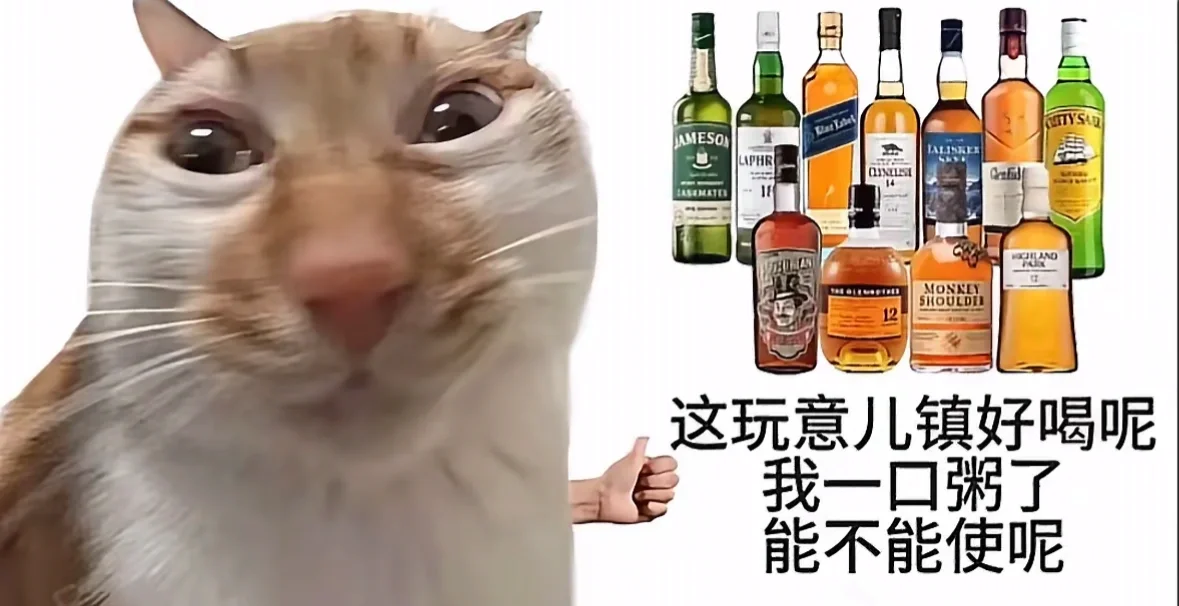 海南有招调酒学徒兼职or义工的bar吗