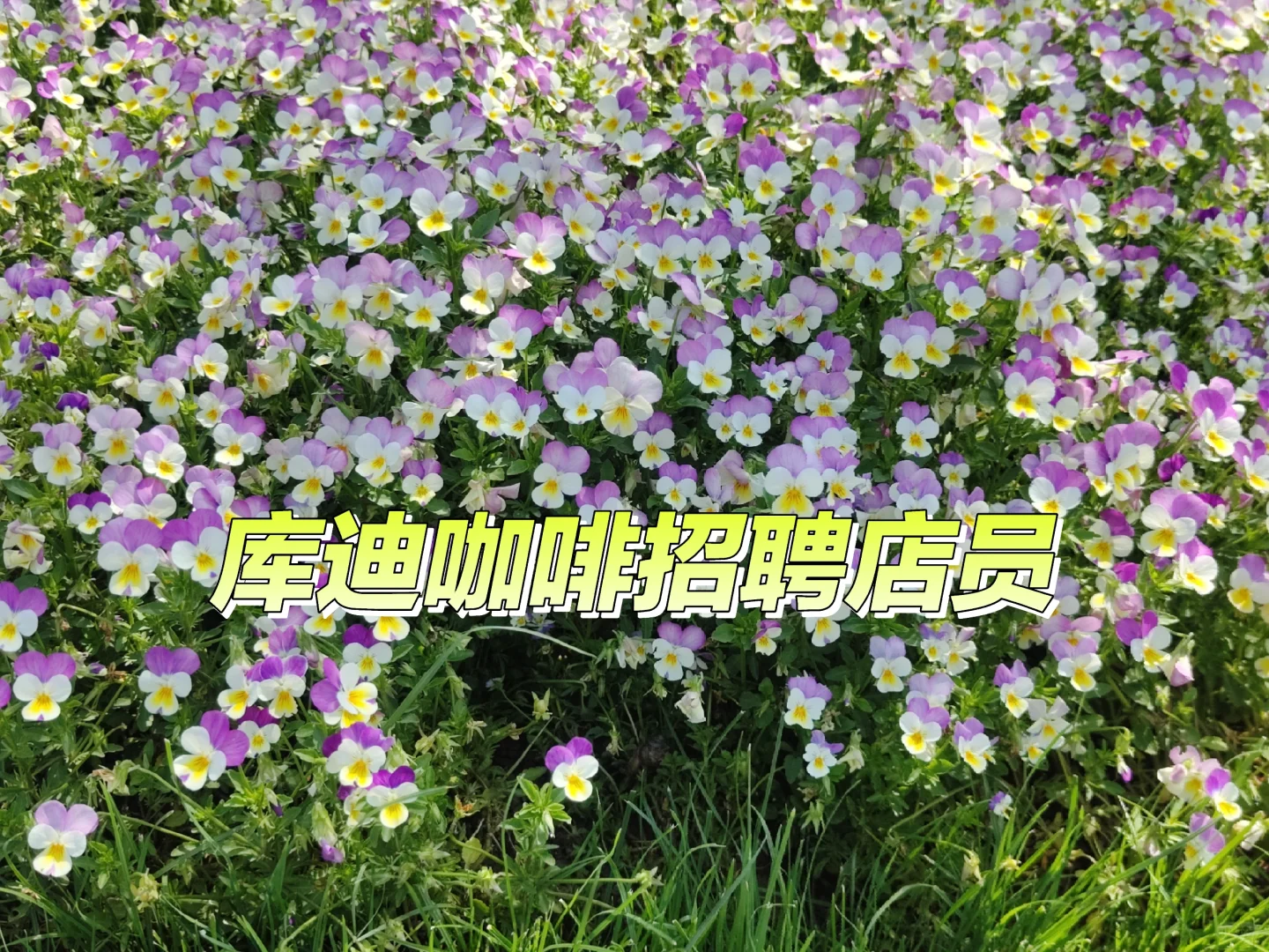 鄂州吾悦广场库迪咖啡，有无经验均可