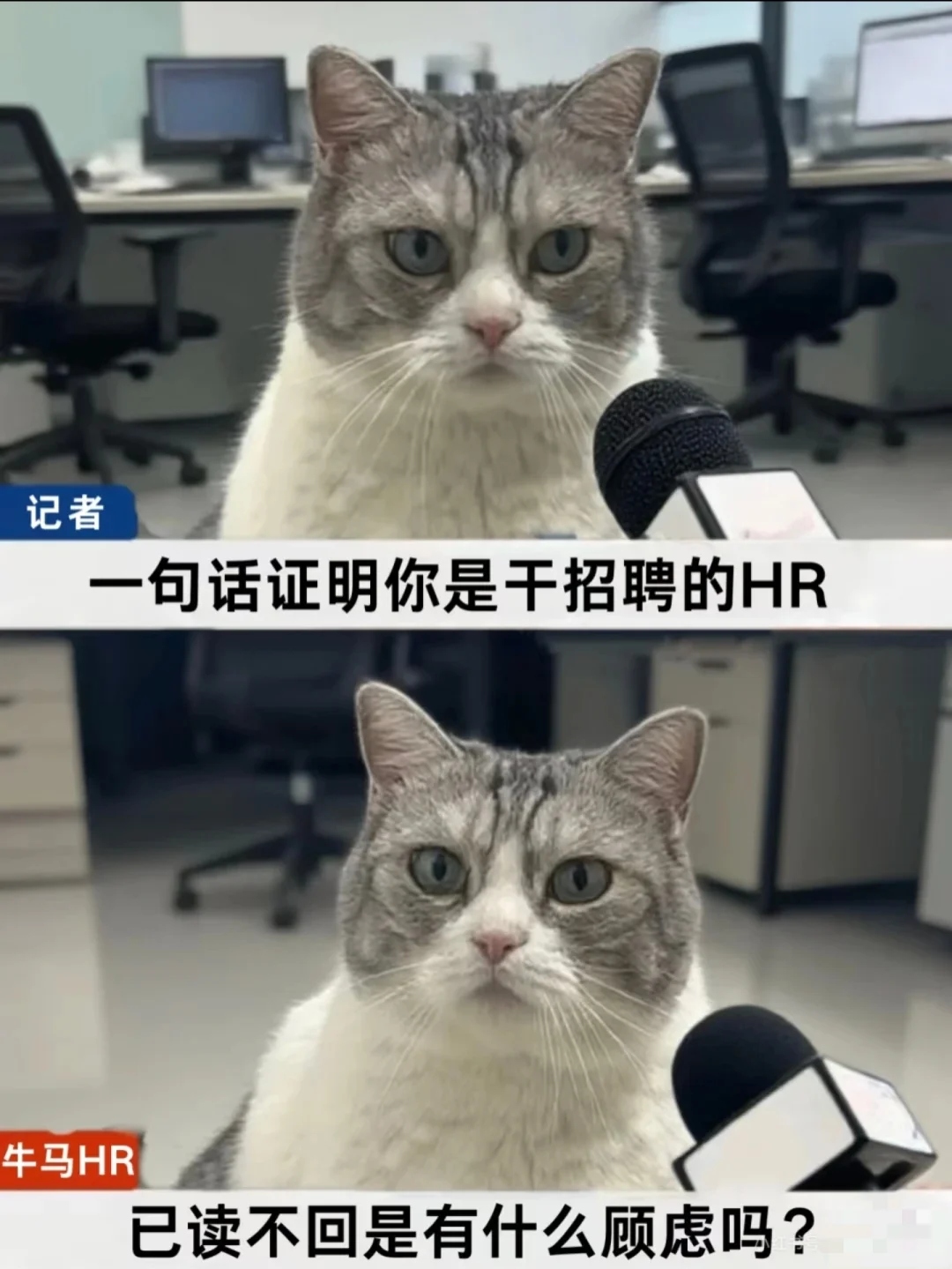 在海口说找工作的难 我招人也难😭😭