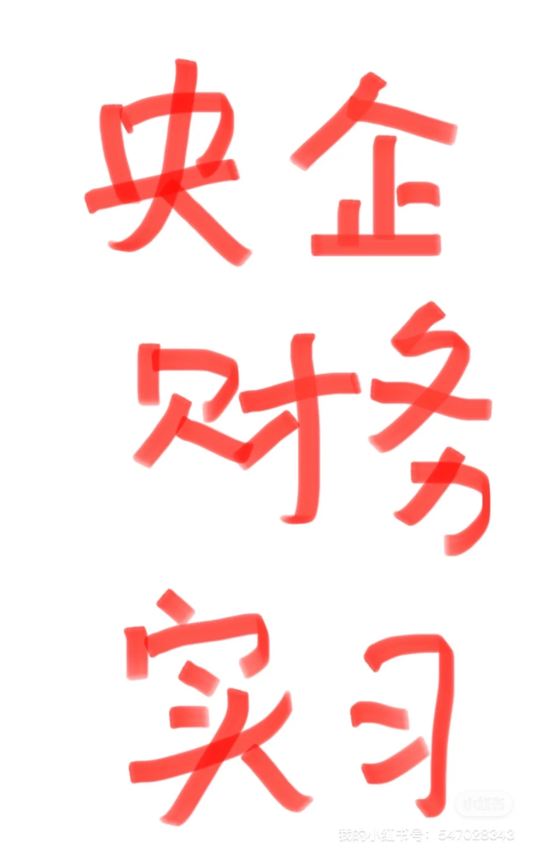 央企财务实习生