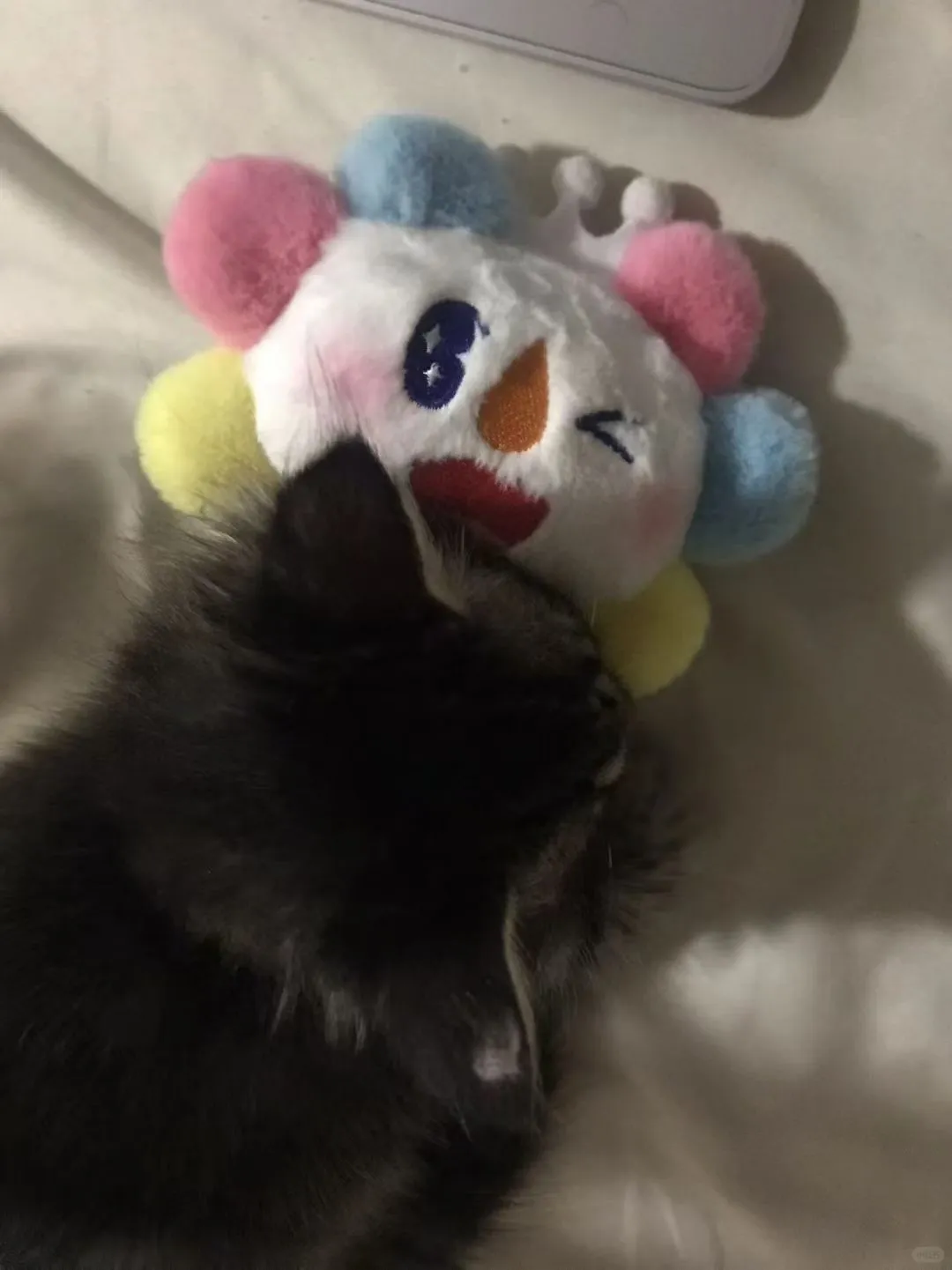 找工作好难！！