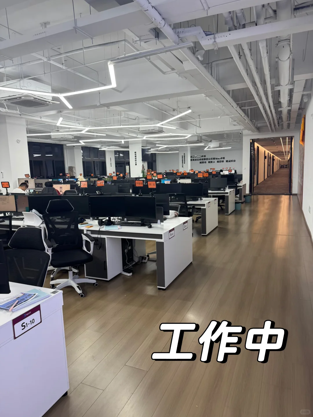 新场地招人啦～🉑小白