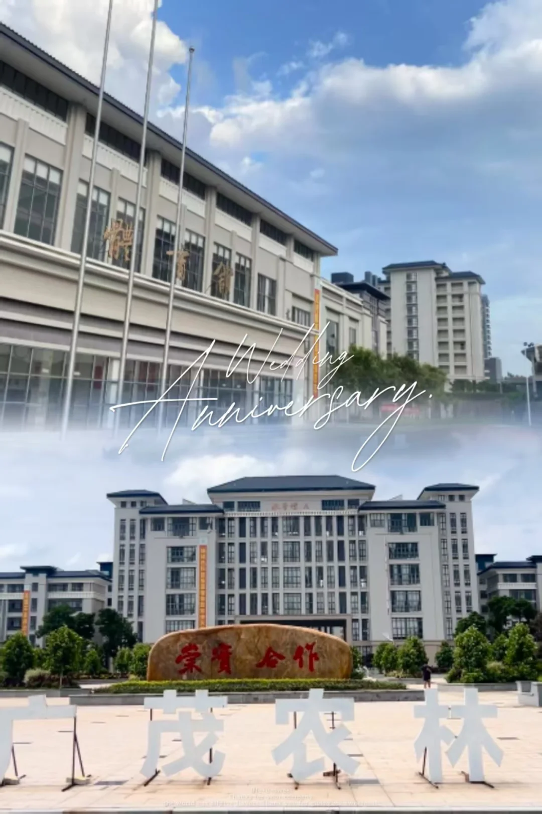 广东茂名农林科职招硕士23名,来说内部消息