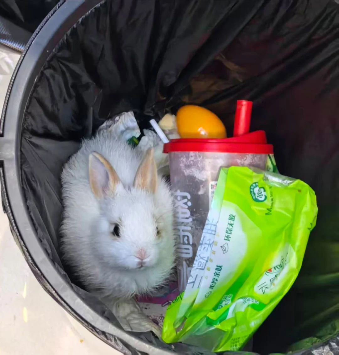 岗位汇总！没有工作的看过来！