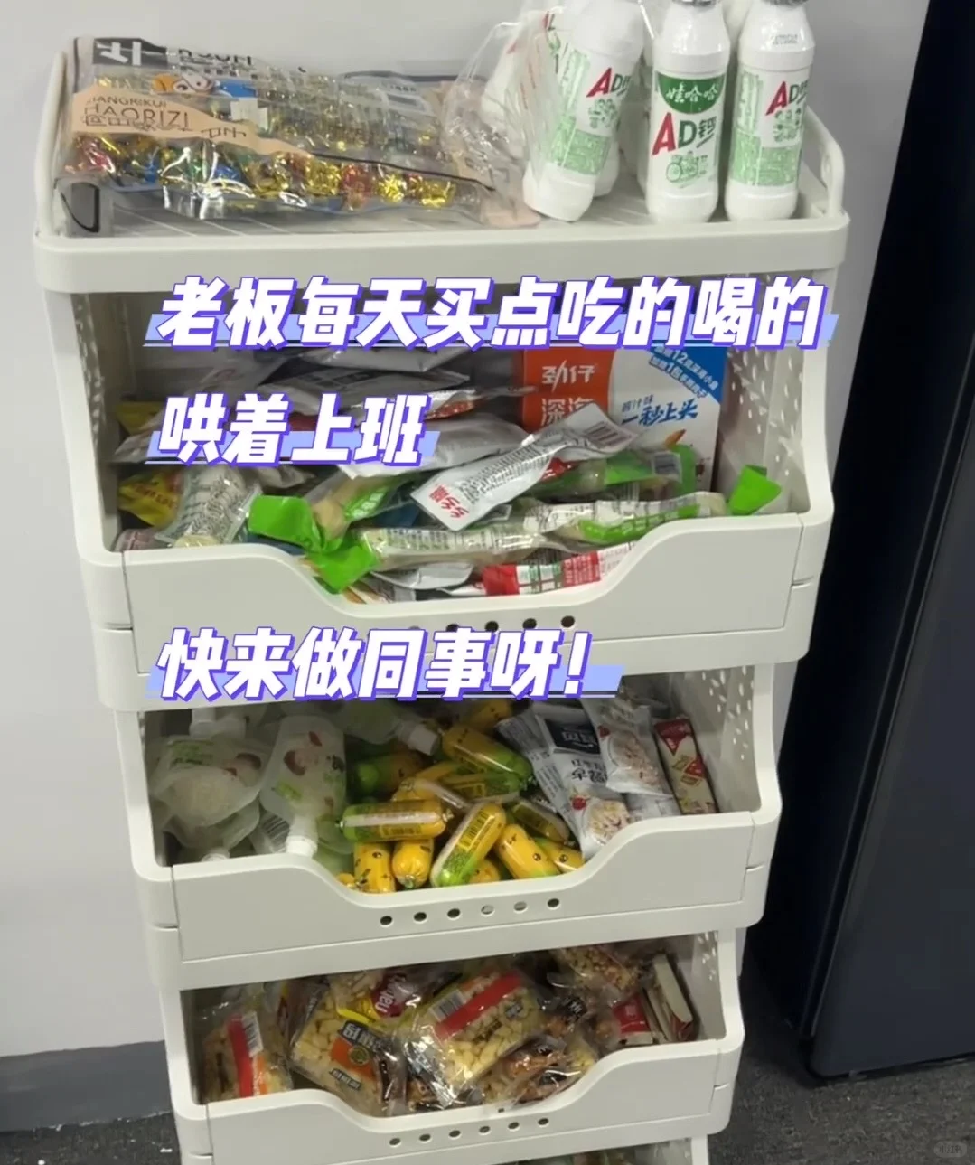 萍乡 神仙工作 小白可带