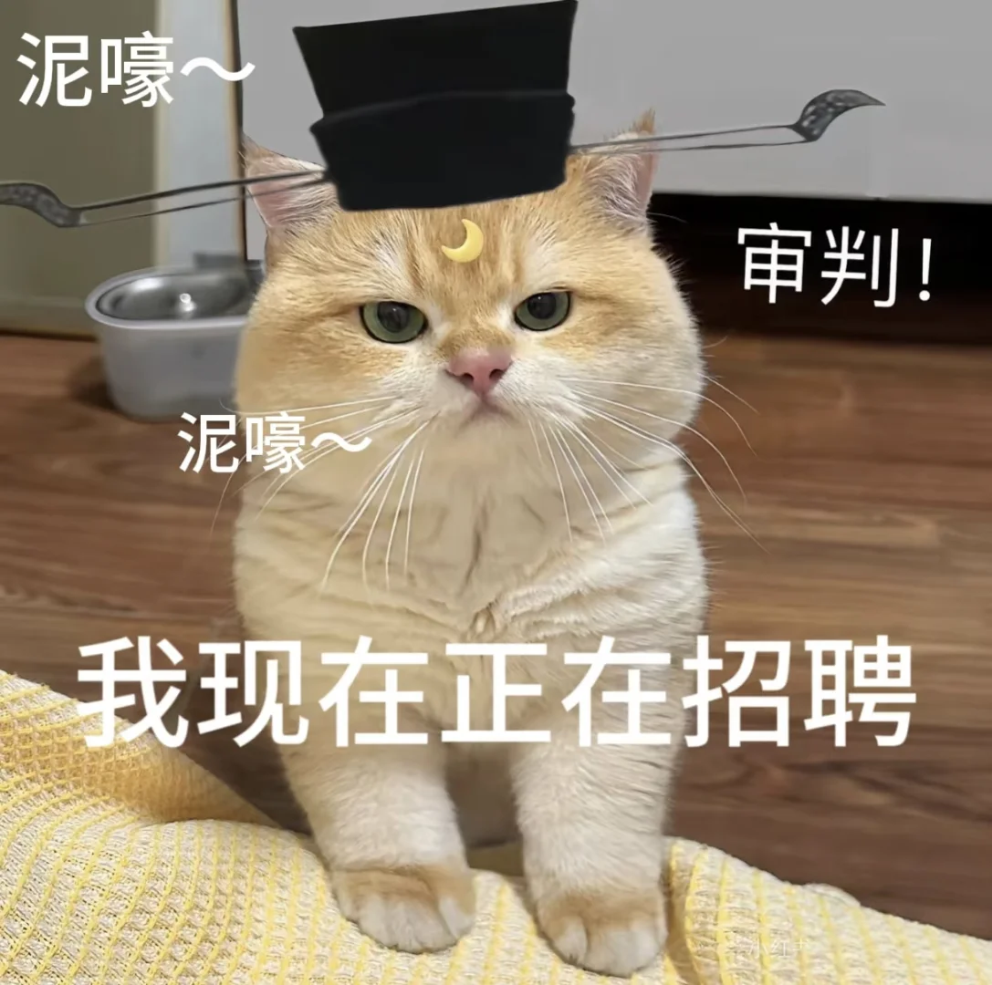 临沂的小哥哥小姐姐，有找工作的吗