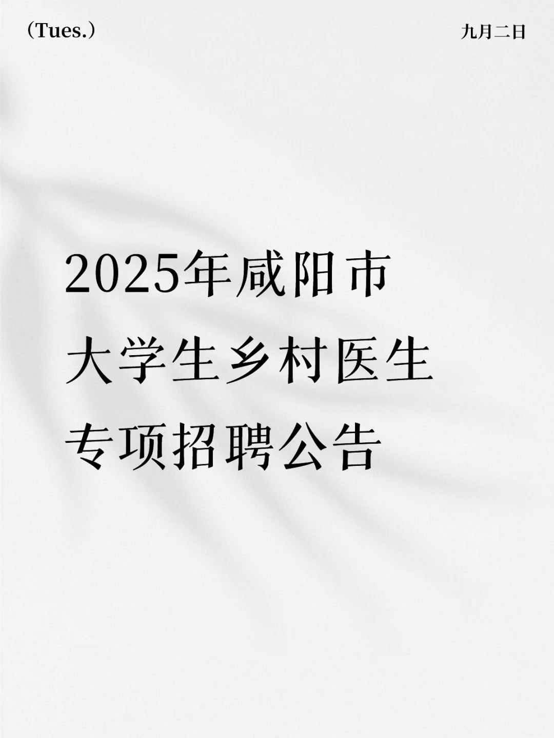 来来，又有新岗位了