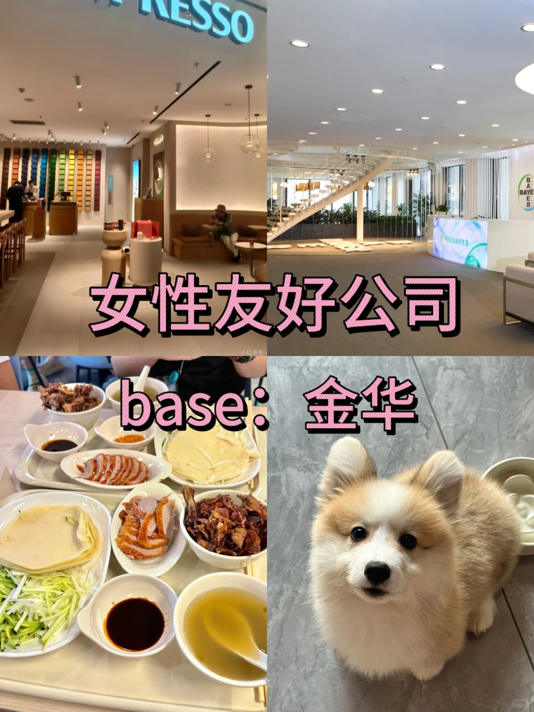 女性友好公司：金华篇