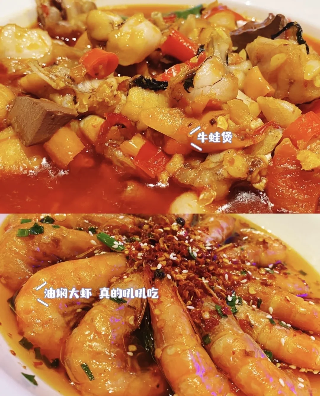 萍乡 神仙工作 小白可带