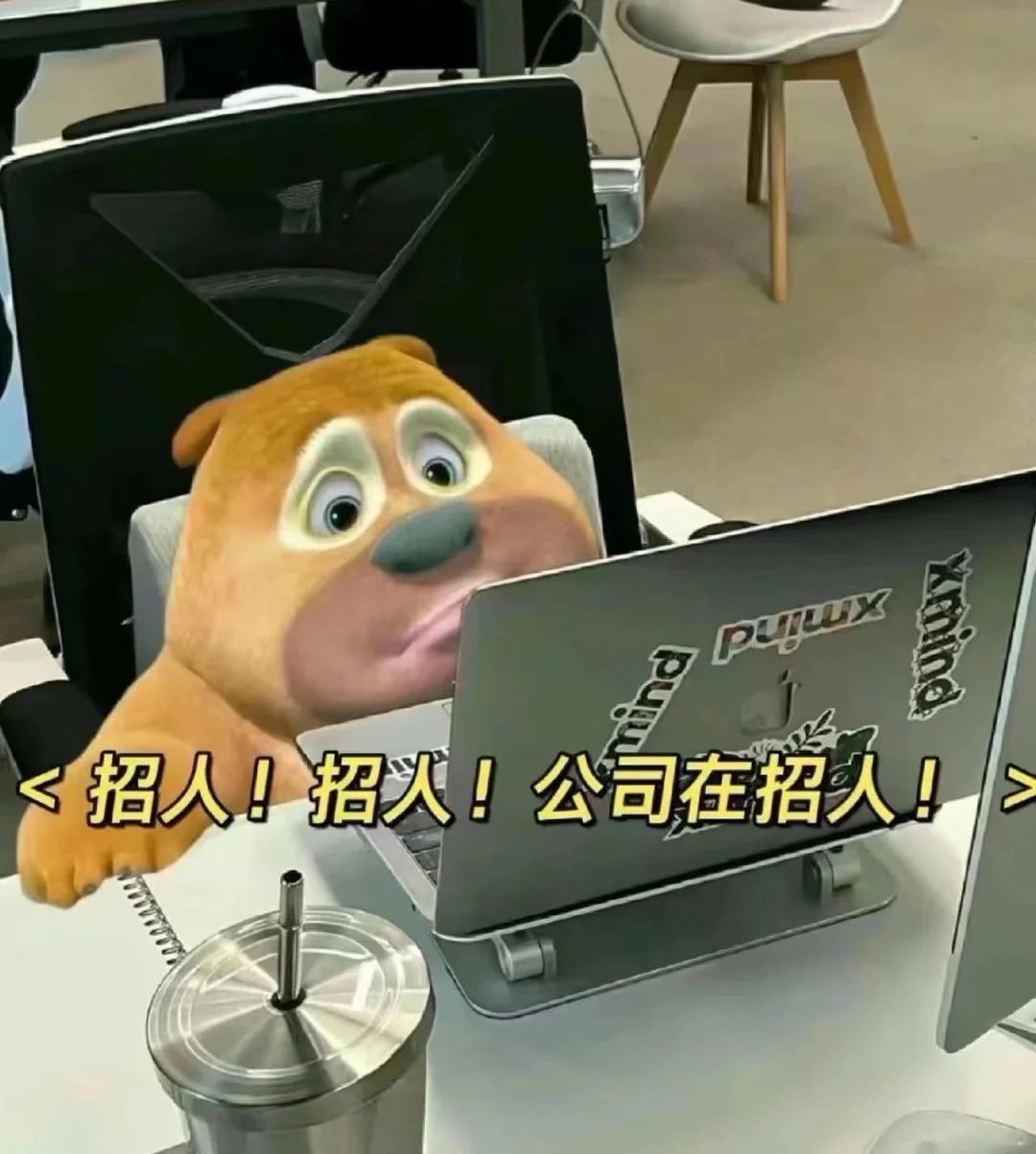 有需要的小伙伴可以联系我