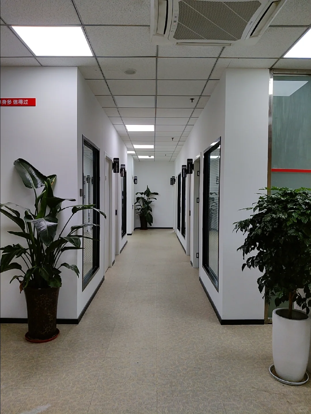 德阳文庙招人啦