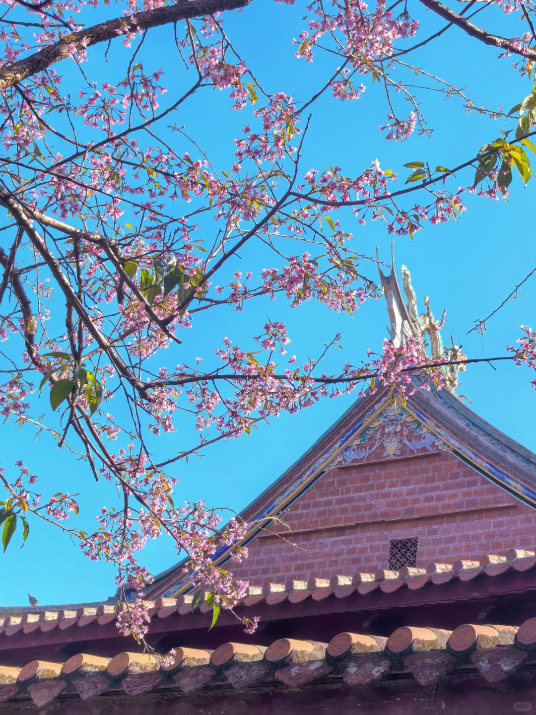 泉州节假日避开人群的一些小建议