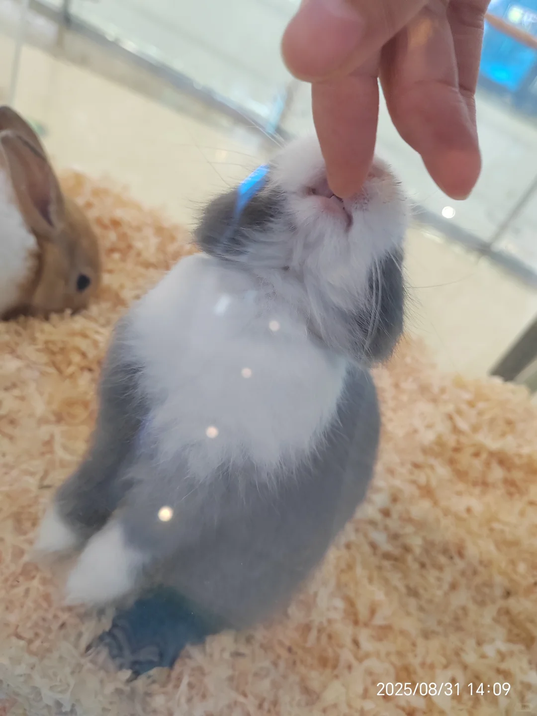 岗位汇总！没有工作的看过来！