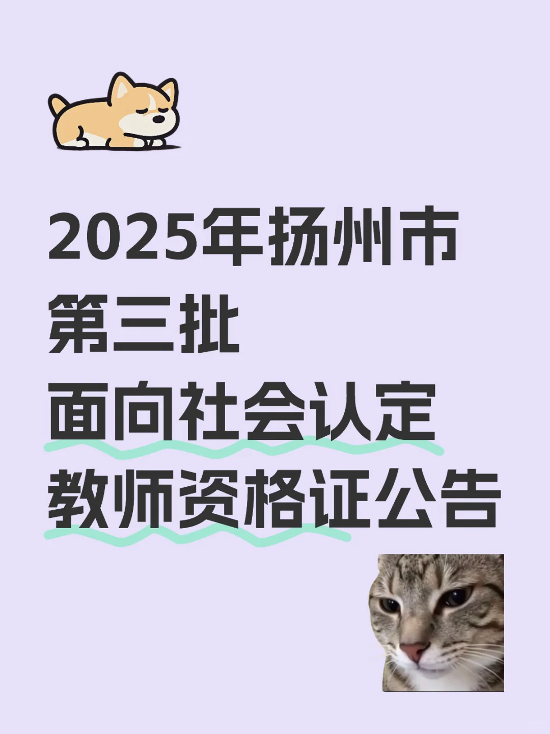 2025年扬州市第三批面向社会认定教资公告