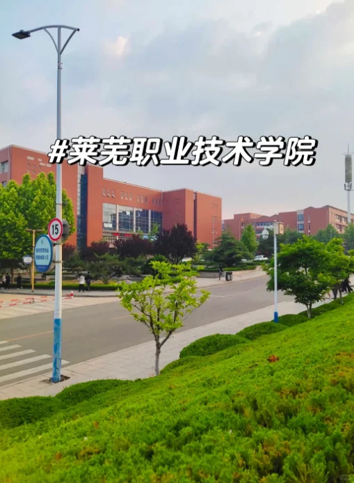 山东丨莱芜职业技术学院丨辅导员招聘8名