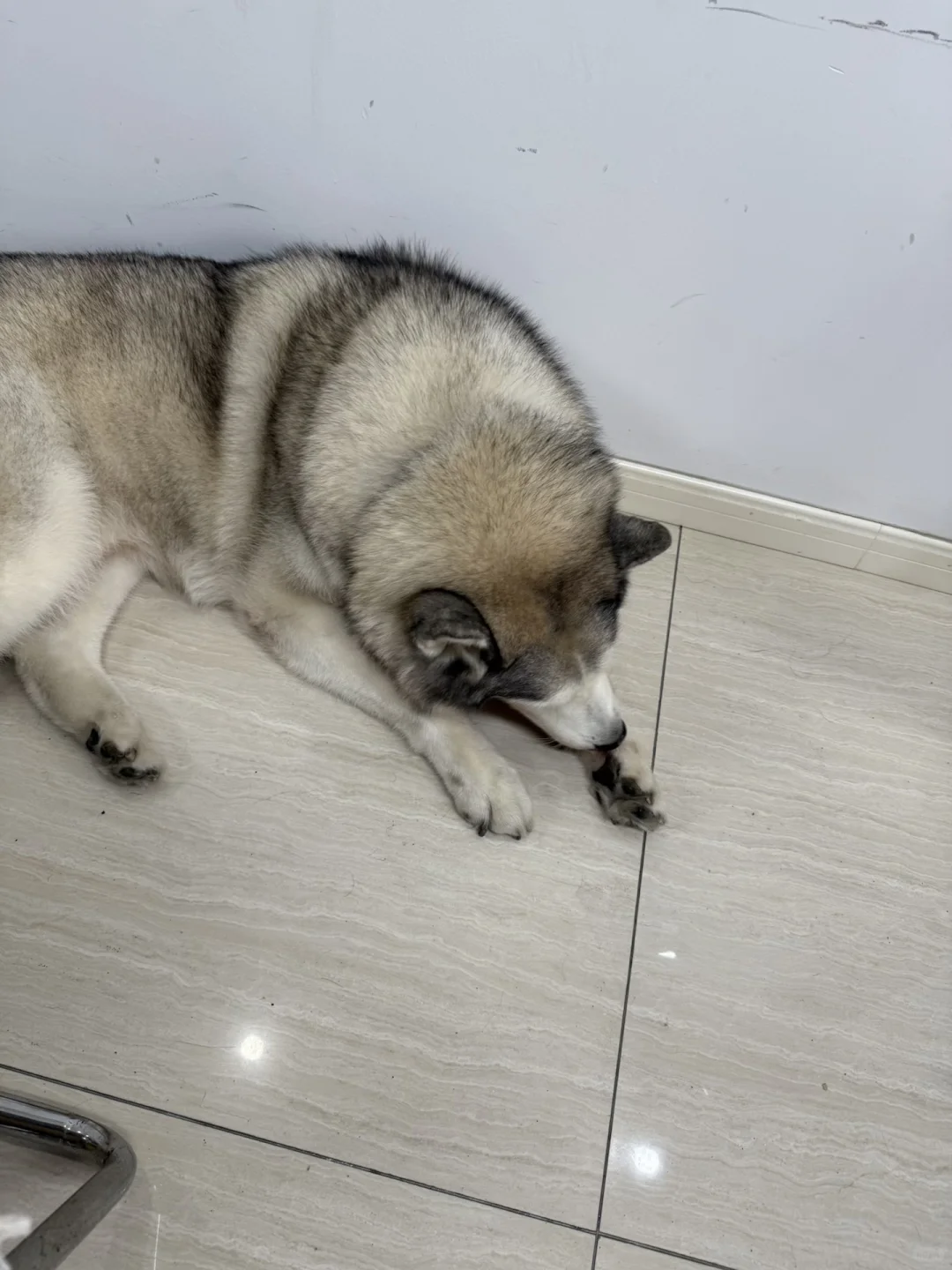 传媒公司招主播，正儿八经的！！！