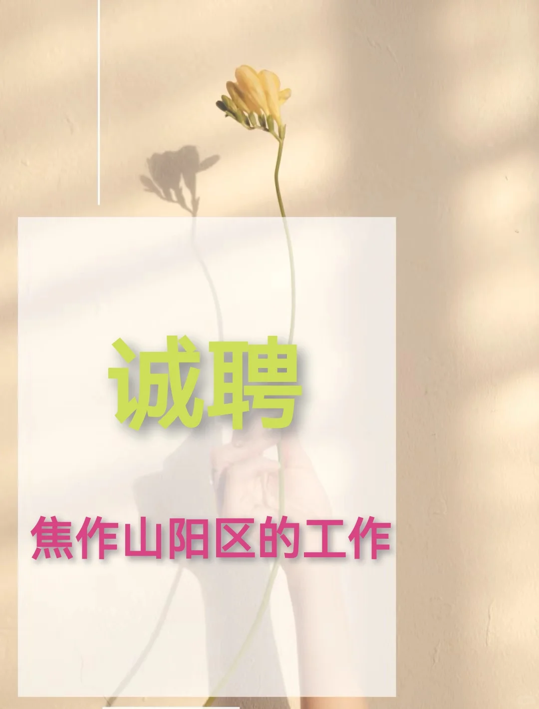 焦作好工作