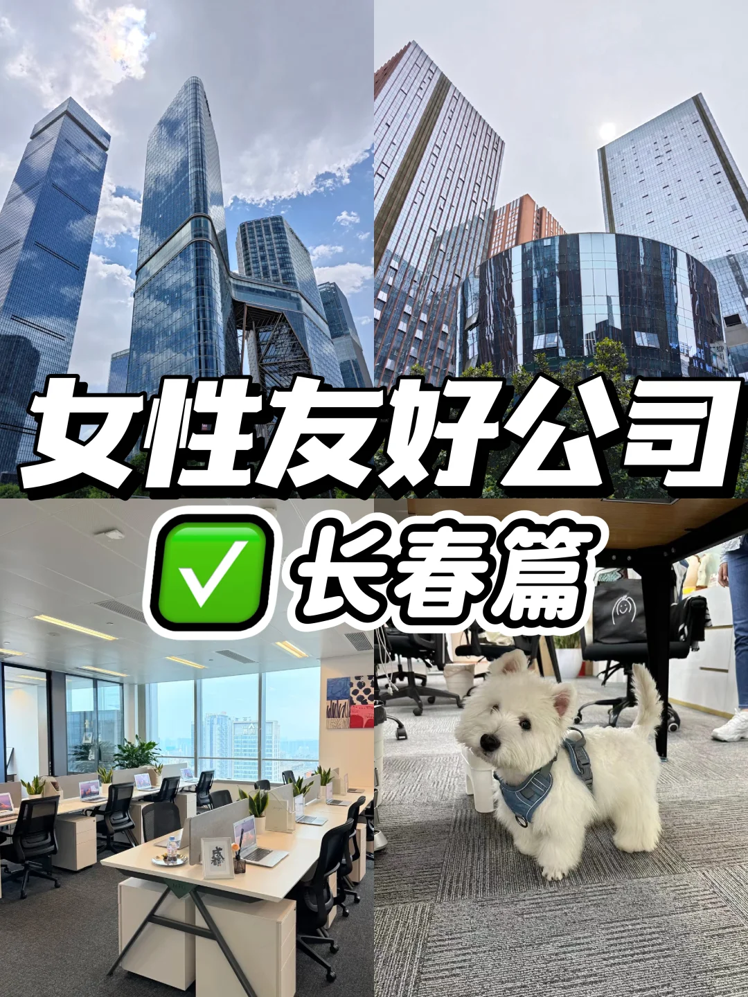 女性友好公司｜长春篇🌟