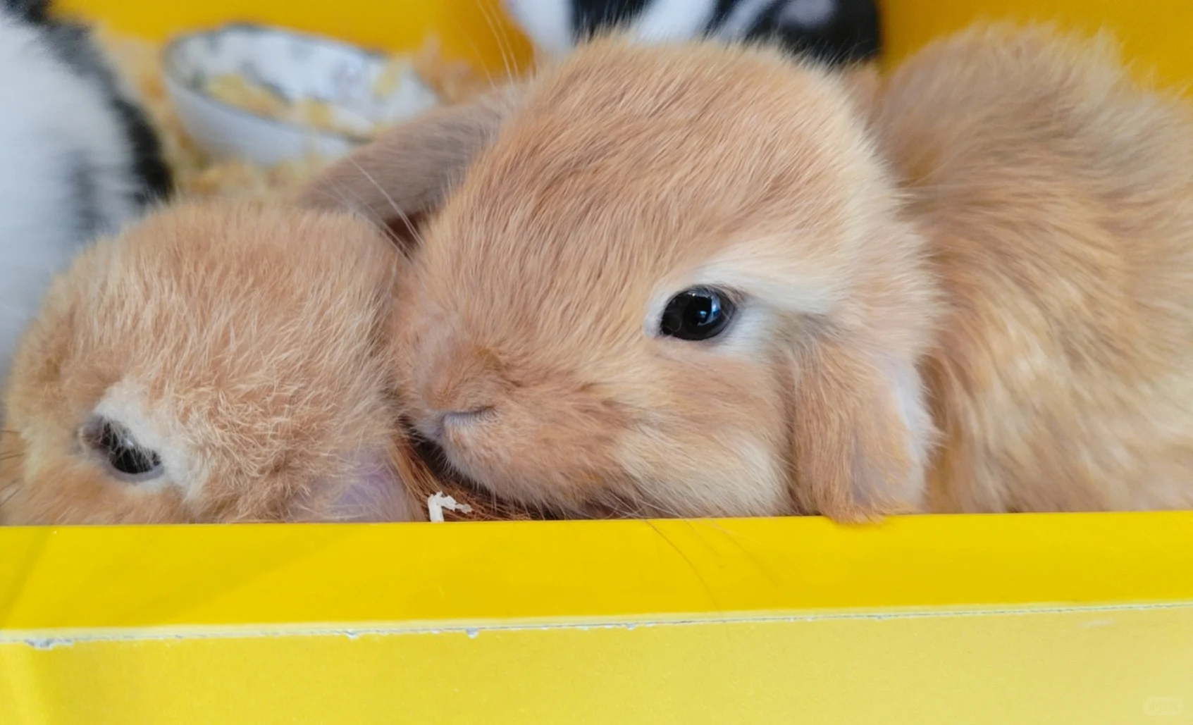 岗位汇总！有工作的看过来