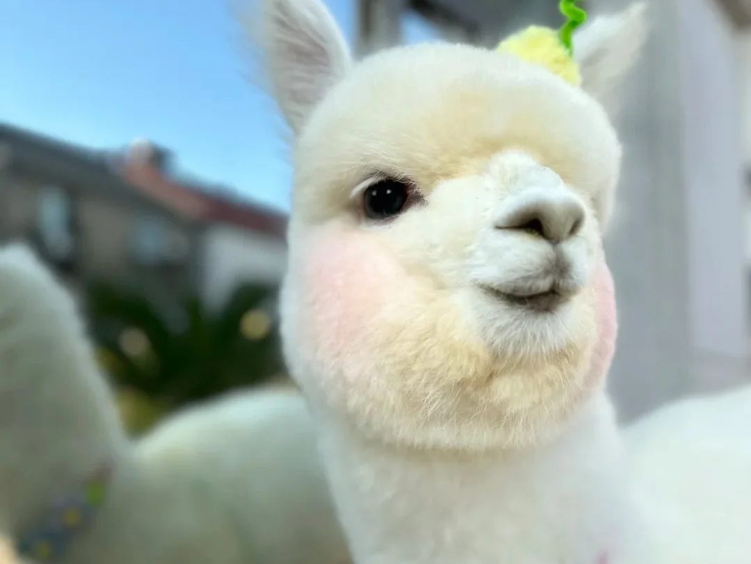 乐山万达招聘兼职