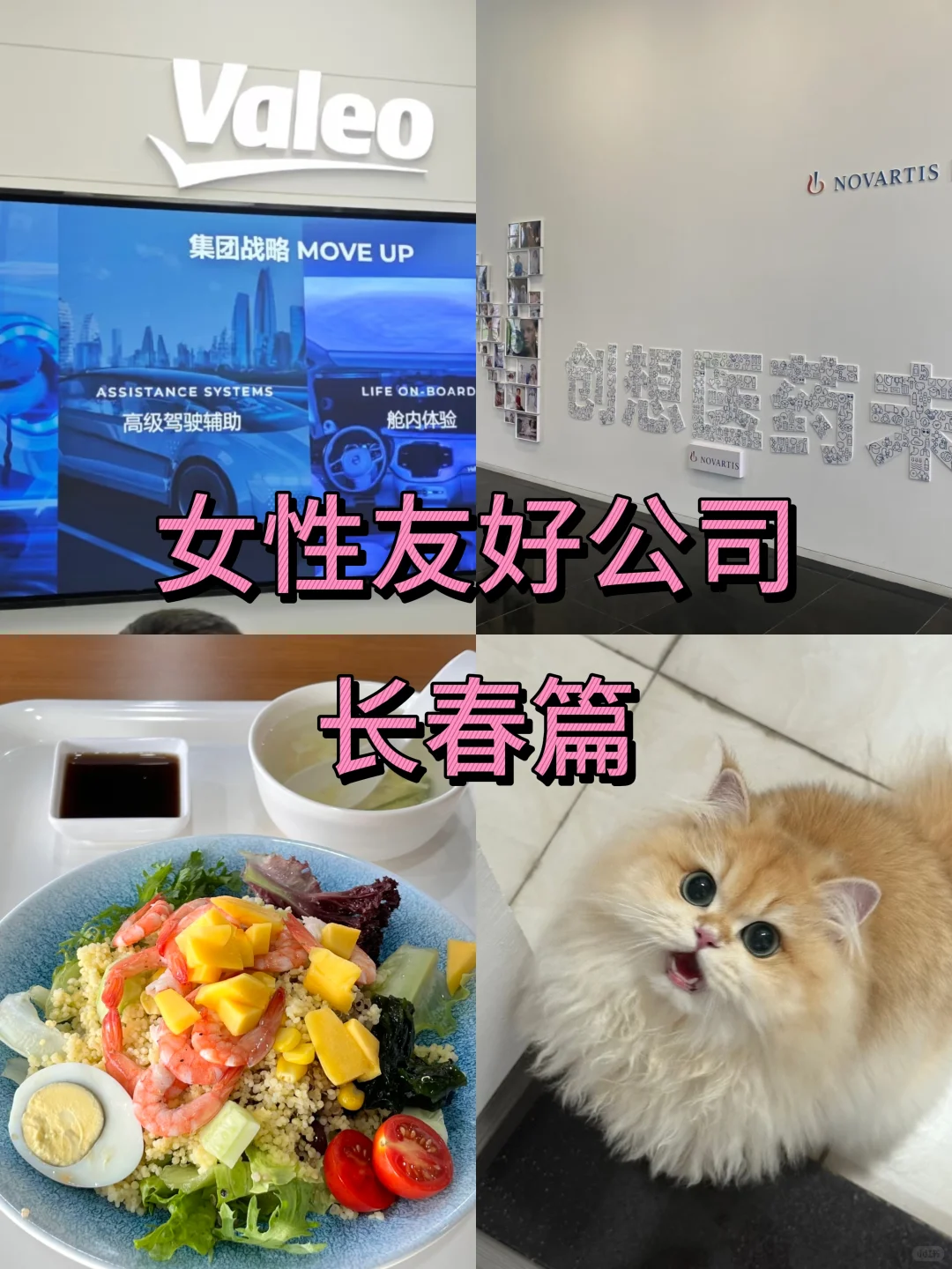 女性友好公司：长春篇