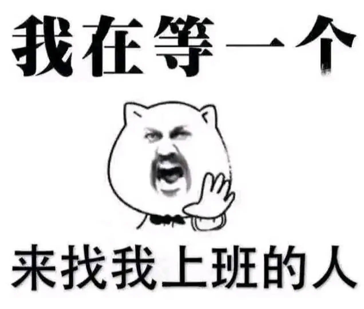 岗位汇总！没有工作的看过来！