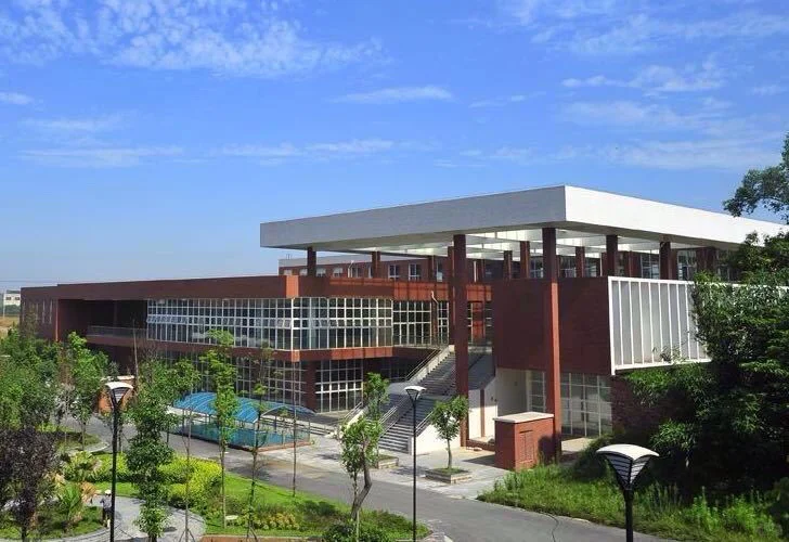 招聘启事:某学院(统招本科)教师