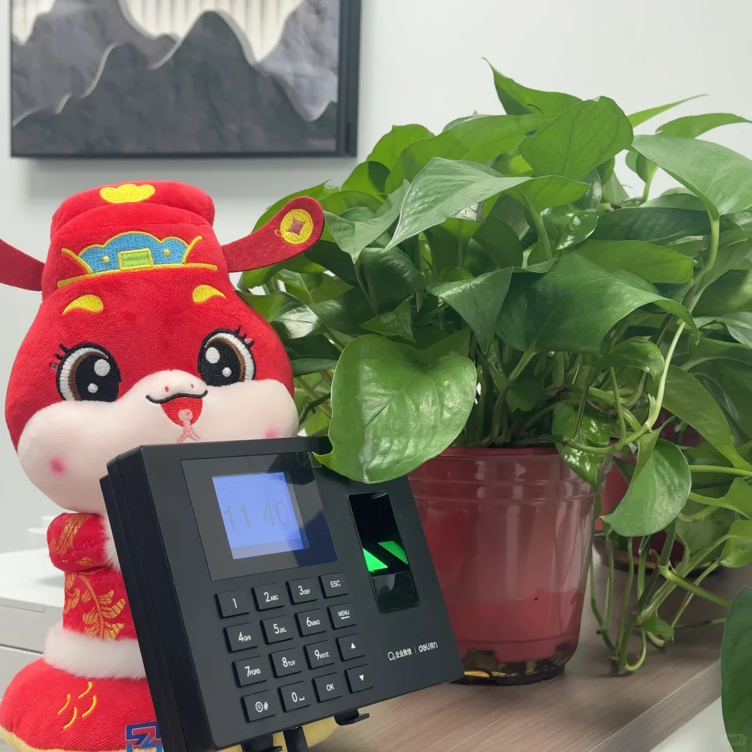 找工作，靠自己赚钱的举手🙋‍♀️