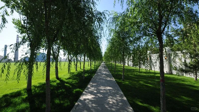 鄂尔多斯北骄热电招聘热控班技术员