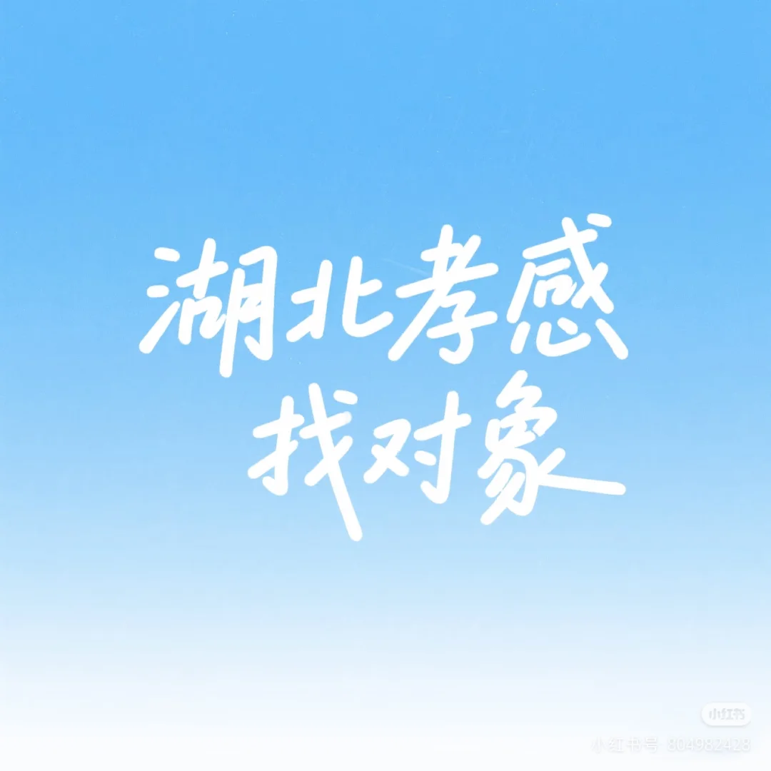 湖北孝感找对象