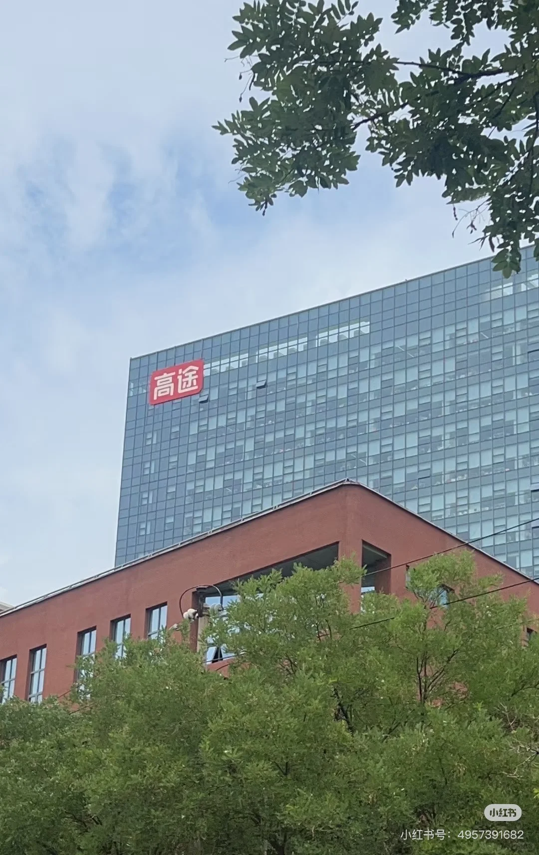 招两个00后给我当马仔