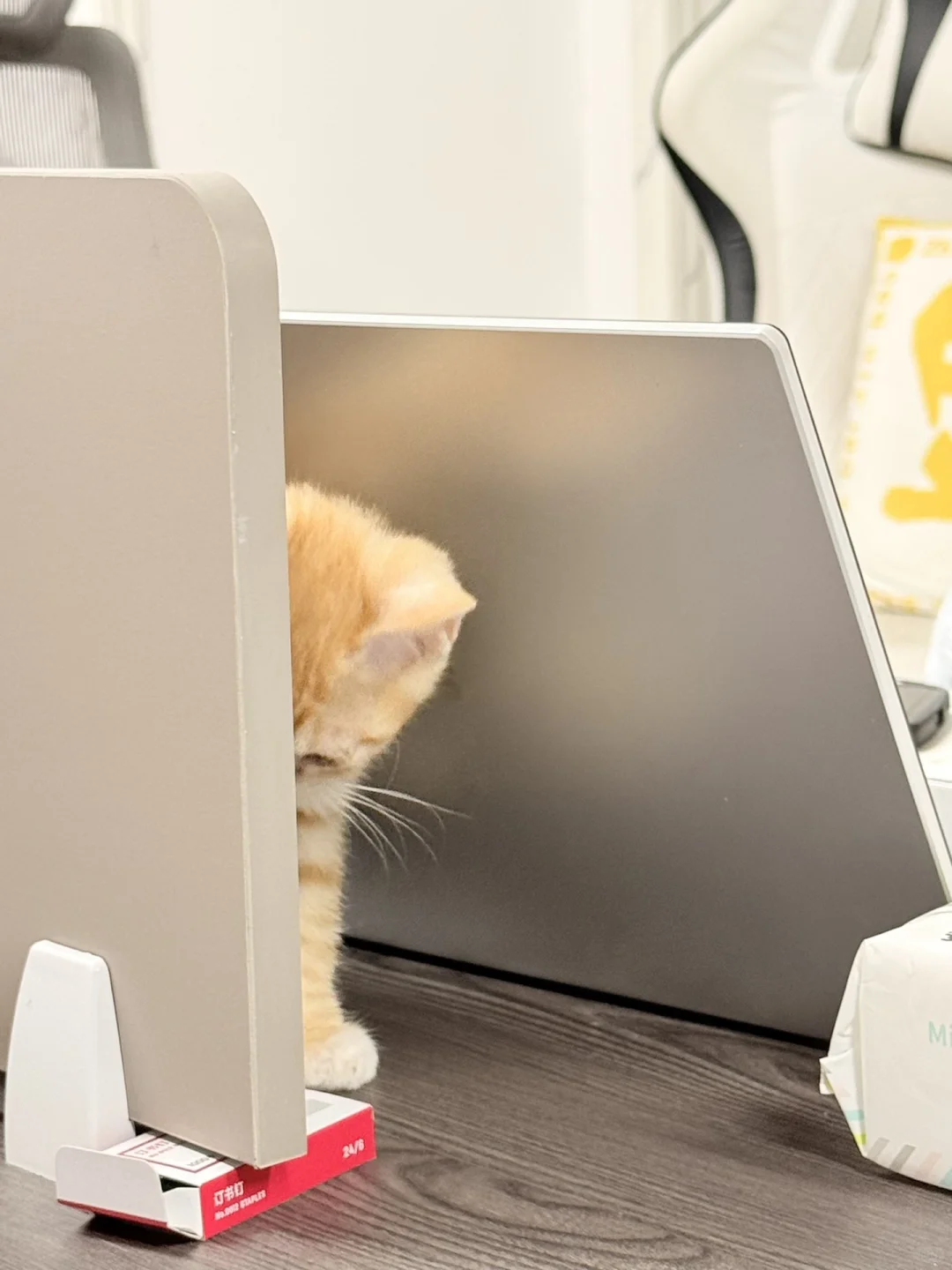 传媒公司招主播，正儿八经的！！！