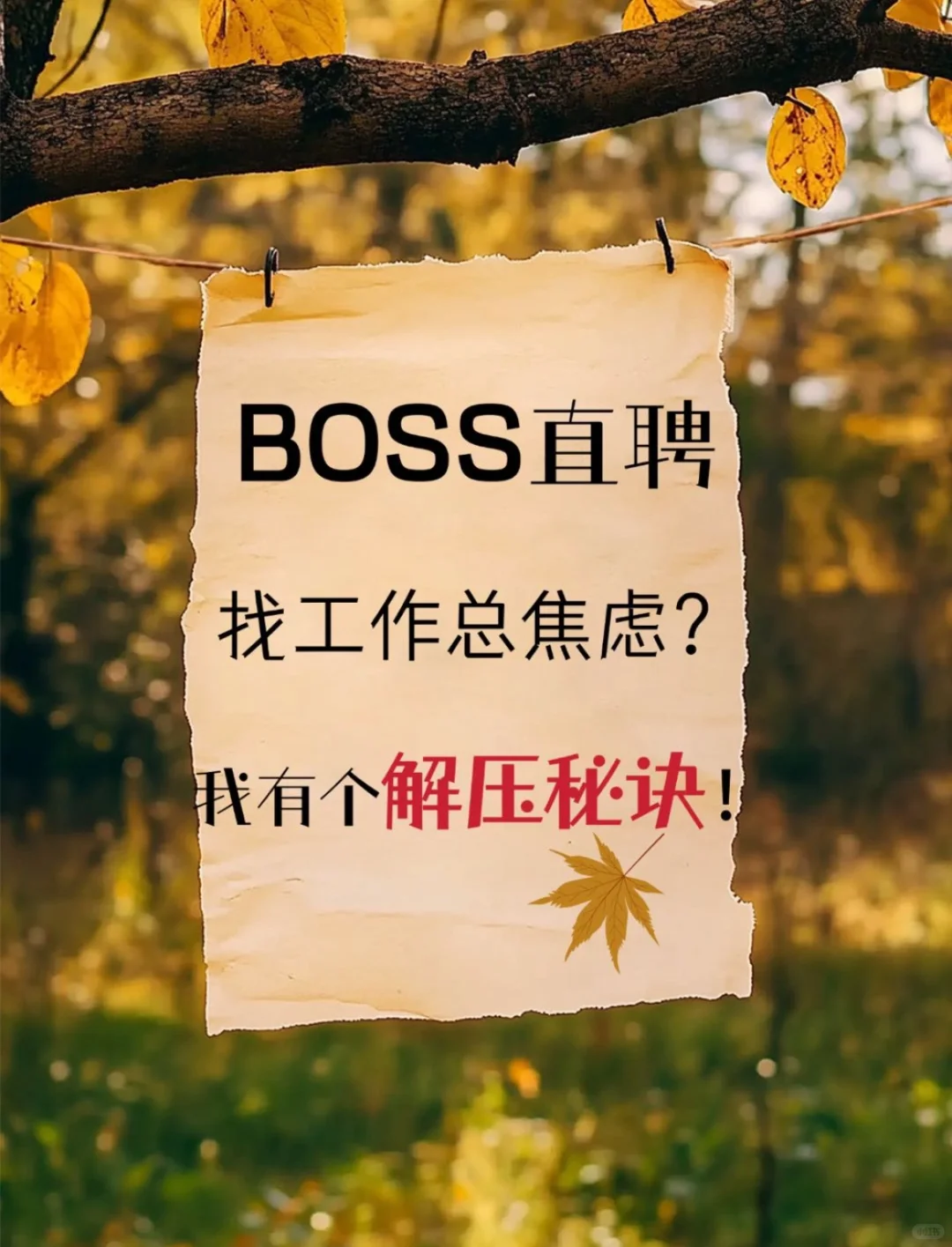 用“解压心态”在BOSS直聘投简历，超轻松！