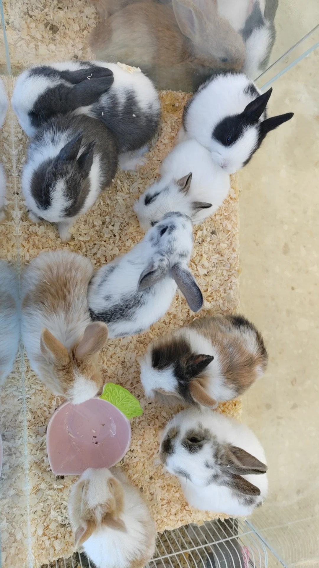 岗位汇总！有工作的看过来