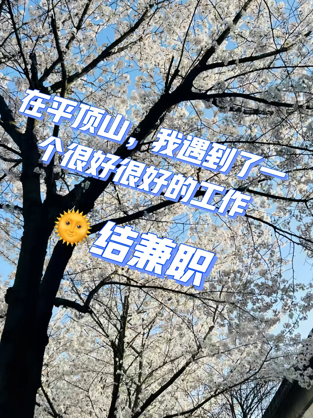 老好老好的兼职了