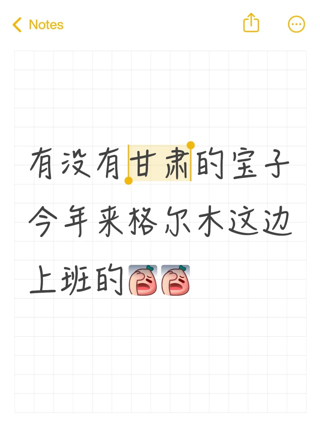 甘肃宝子在格尔木
