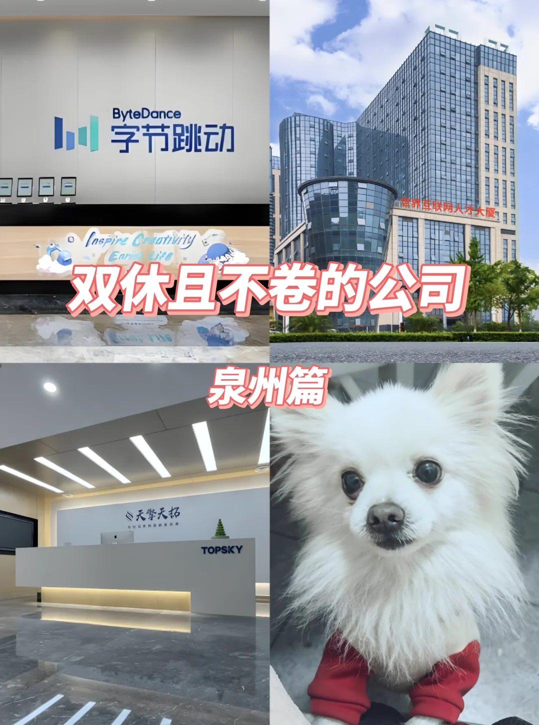 泉州双休不卷公司！这波隐形福利我哭死😭